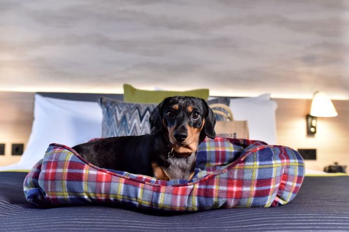 Imagen de la habitación del Hotel Staybridge Suites Dundee, an IHG. Foto 7