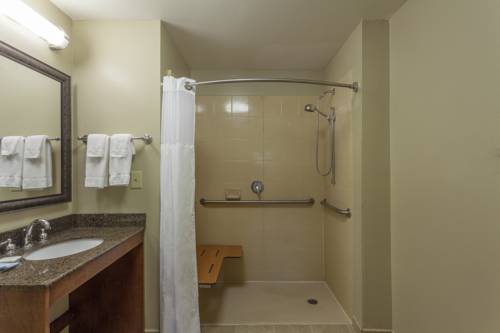 Imagen de la habitación del Hotel Staybridge Suites Greenville I-85 Woodruff Road, An Ihg. Foto 13