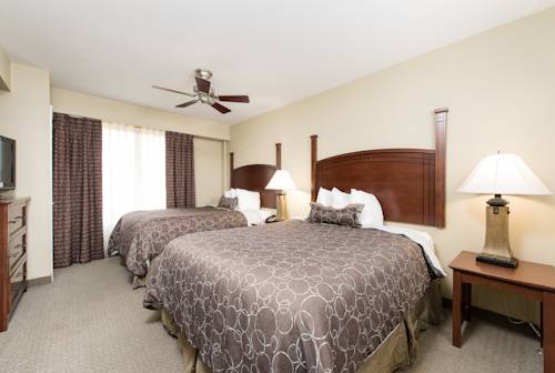 Imagen de la habitación del Hotel Staybridge Suites North Charleston, An Ihg. Foto 6