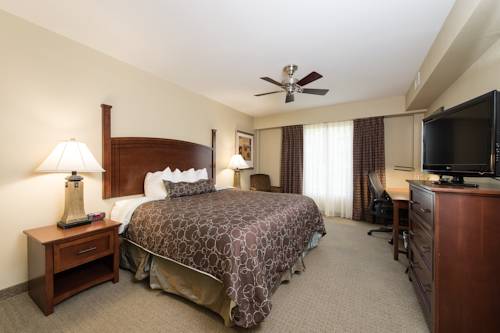 Imagen de la habitación del Hotel Staybridge Suites North Charleston, An Ihg. Foto 7