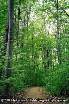 Imagen del bar/restaurante del Hotel Staybridge Suites Oakville, An Ihg. Foto 3