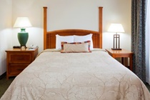 Imagen general del Hotel Staybridge Suites Raleigh Durham Airport, An Ihg. Foto 7