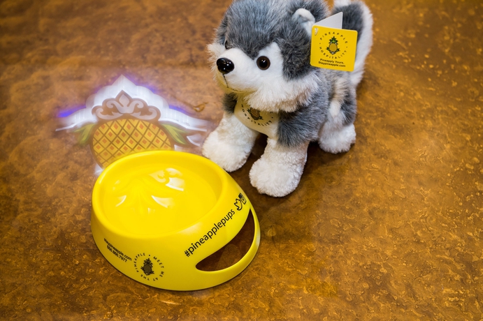 Imagen general del Hotel Staypineapple, An Elegant , Union Square. Foto 2