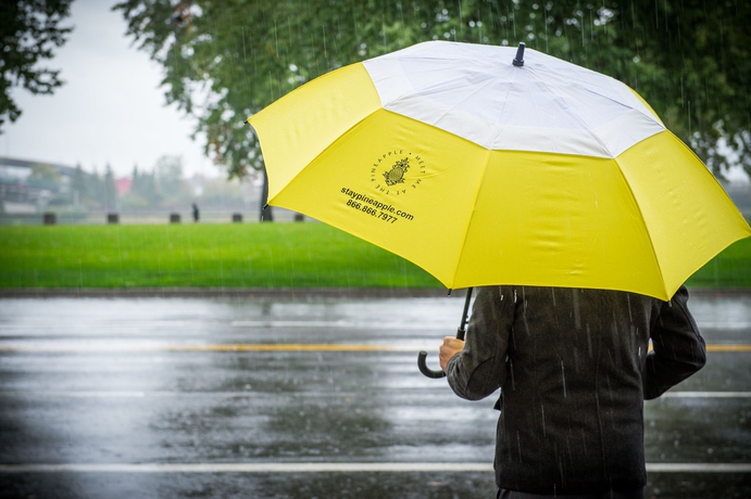 Imagen general del Hotel Staypineapple, Rose, Downtown Portland. Foto 2