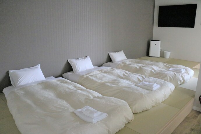 Imagen general del Hotel Stay's Otaru. Foto 6