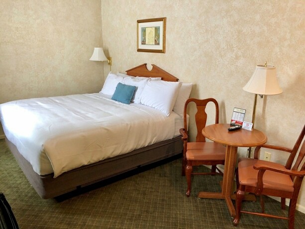Imagen de la habitación del Hotel Stearns. Foto 20