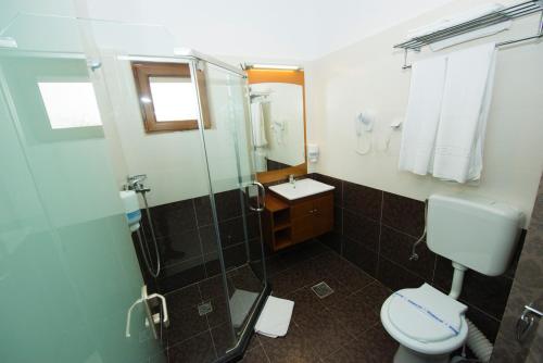 Imagen de la habitación del Hotel Steaua Apelor Family Resort. Foto 8