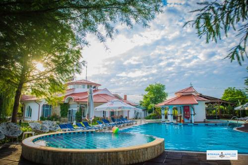 Imagen general del Hotel Steaua Apelor Family Resort. Foto 5