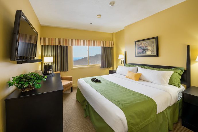 Imagen de la habitación del Hotel Steele Hill Resorts. Foto 11