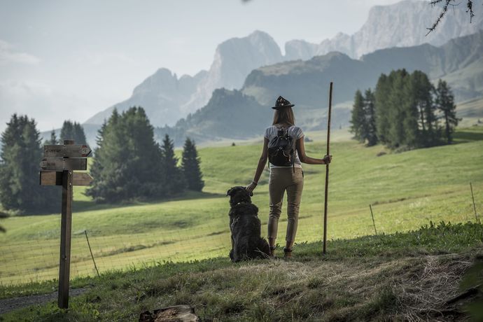 Imagen general del Hotel Steger-Dellai. Foto 2