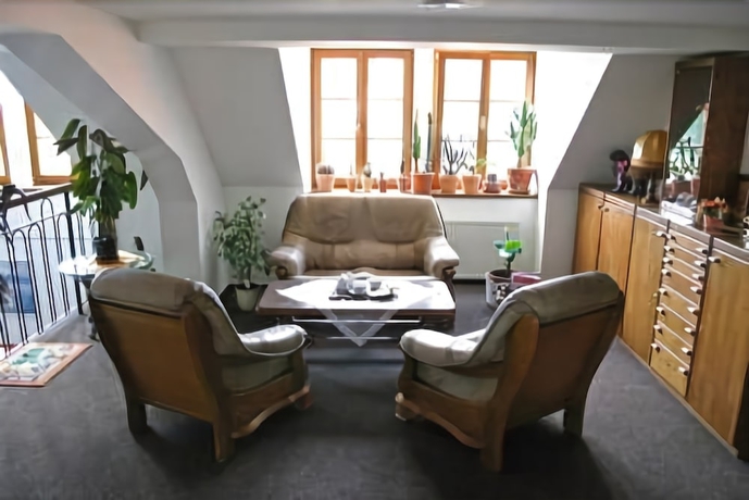 Imagen de los interiores del Hotel Stein, Cheb . Foto 19