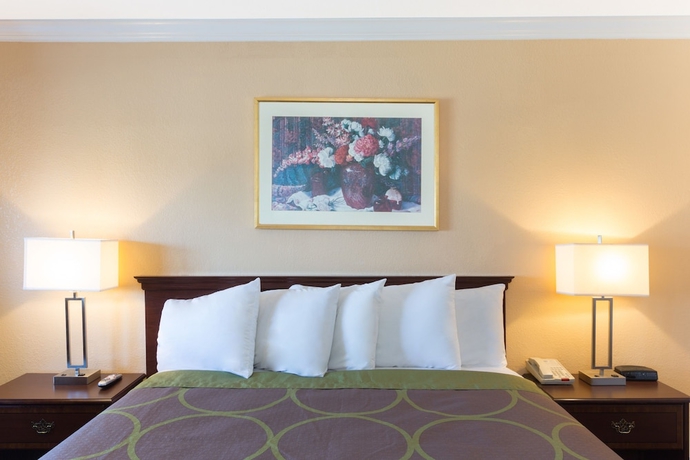 Imagen de la habitación del Hotel Steinbeck Lodge. Foto 9