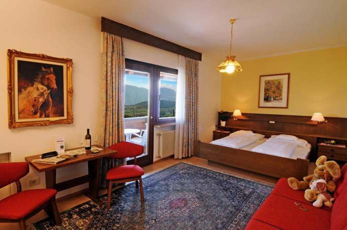 Imagen de la habitación del Hotel Steinegger. Foto 8