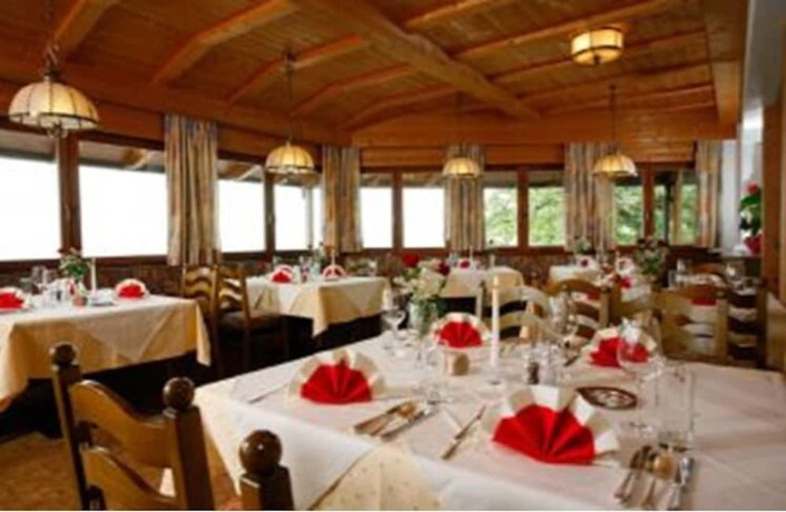 Imagen del bar/restaurante del Hotel Steinegger. Foto 3