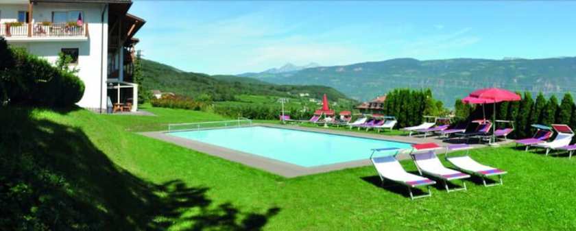 Imagen de la piscina del Hotel Steinegger. Foto 20