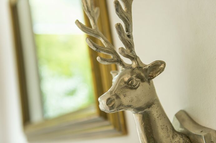 Imagen general del Hotel Steiner. Foto 7