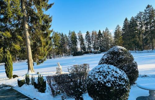 Imagen general del Hotel Steineweiher. Foto 5