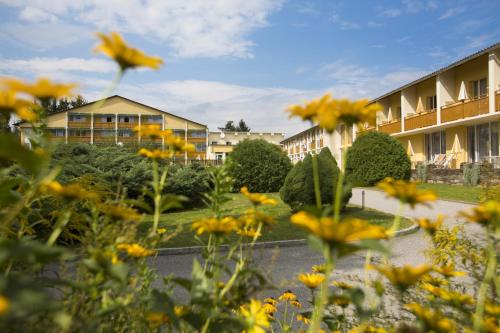 Imagen general del Hotel Steirerrast. Foto 9