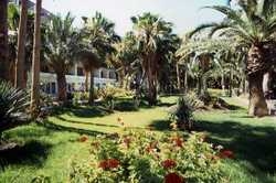 Imagen de los exteriores del Hotel Stella Jandia. Foto 5