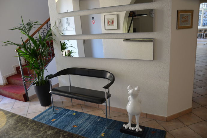 Imagen de los interiores del Hotel Stella Lugano. Foto 9
