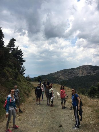 Imagen de los interiores del Hotel Steni. Foto 19