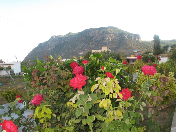 Imagen de los exteriores del Hotel Stenna Apartments. Foto 11