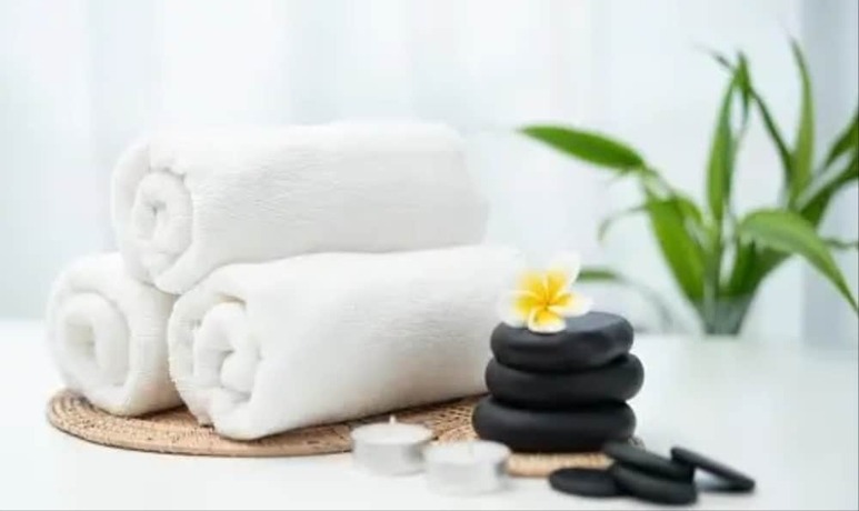 Imagen general del Hotel Sterling Gir. Foto 2