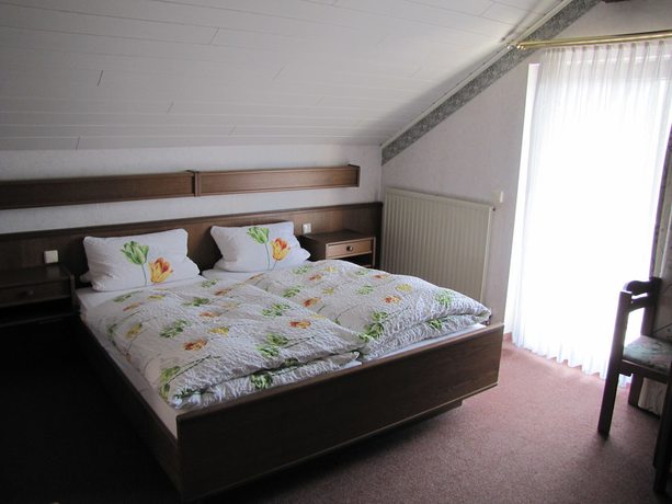 Imagen de la habitación del Hotel Steuer. Foto 15