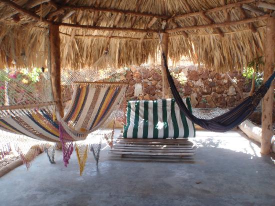 Imagen de los interiores del Hotel Stevie WonderLand. Foto 5