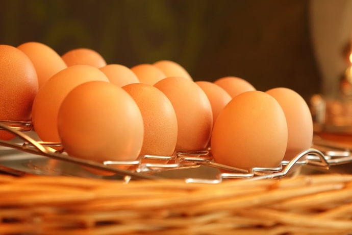 Imagen del bar/restaurante del Hotel Stiemerheide. Foto 8