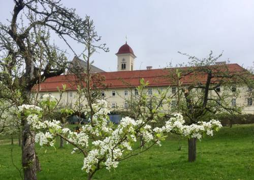 Imagen de la habitación del Hotel Stift St. Georgen. Foto 2
