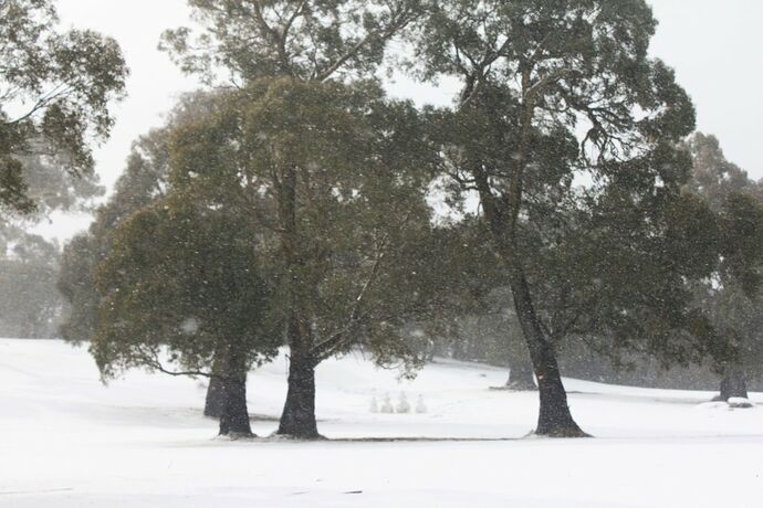 Imagen general del Hotel Stillwater Chalet A- Lake Crackenback. Foto 6