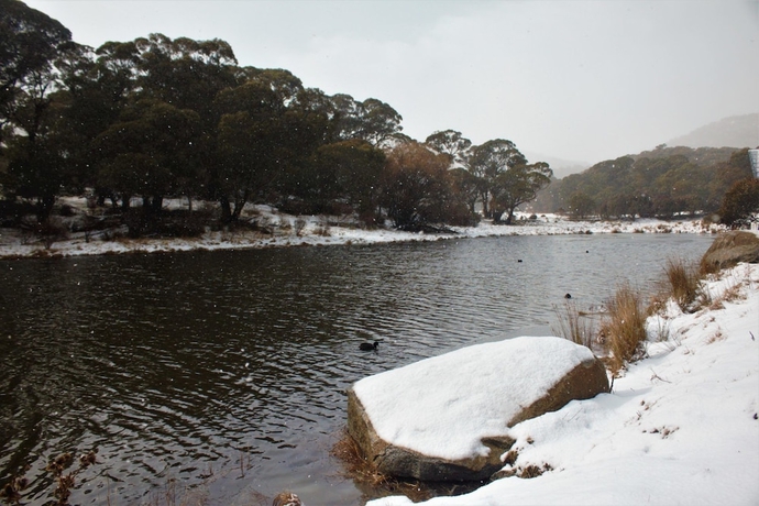 Imagen de los exteriores del Hotel Stillwater Chalet B- Lake Crackenback. Foto 12