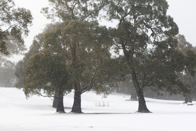 Imagen general del Hotel Stillwater Chalet B- Lake Crackenback. Foto 5