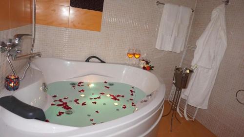 Imagen general del Hotel Хотел Стиляна/Stilyana. Foto 3