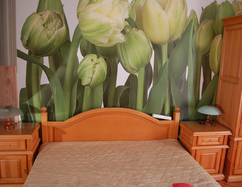 Imagen general del Hotel Stivan Iskar. Foto 9