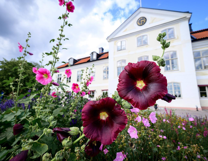 Imagen general del Hotel Stj&auml;rnholmsslott. Foto 2