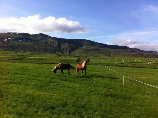 Imagen general del Hotel Stóra Mörk 3. Foto 11