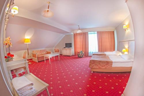 Imagen de la habitación del Hotel Stod&oacute;łka. Foto 9
