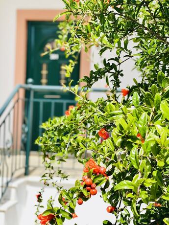 Imagen general del Hotel Stomio Villague. Foto 10