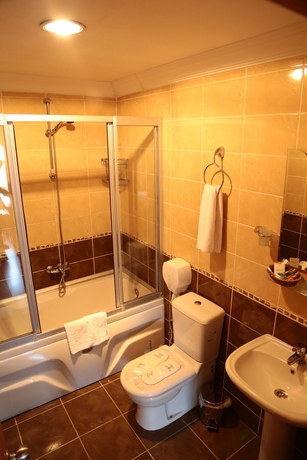 Imagen de la habitación del Hotel Stone Istanbul. Foto 6