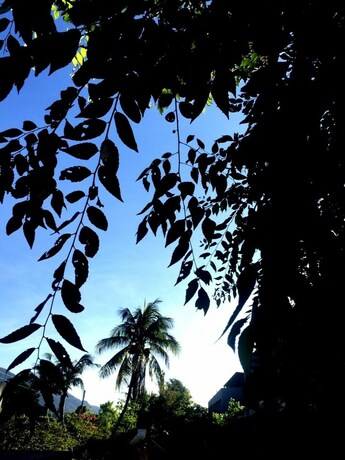 Imagen de los exteriores del Hotel Stone Party. Foto 36