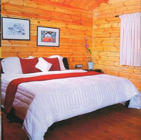 Imagen de la habitación del Hotel Stone Water Eco Resort. Foto 15