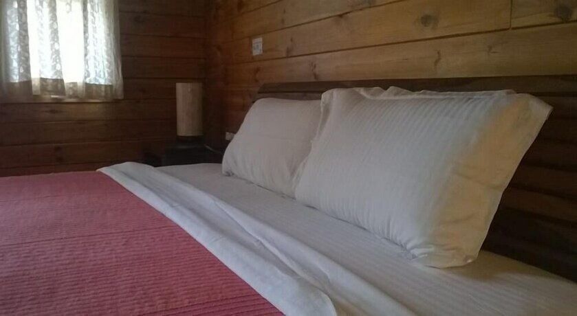 Imagen de la habitación del Hotel Stone Water Eco Resort. Foto 29