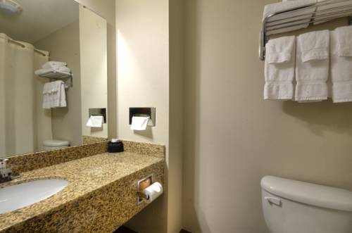 Imagen de la habitación del Hotel Stonebrook Lodge. Foto 5