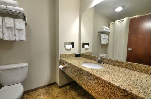 Imagen de la habitación del Hotel Stonebrook Lodge. Foto 6