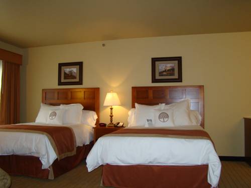 Imagen de la habitación del Hotel Stonecreek Lodge. Foto 14