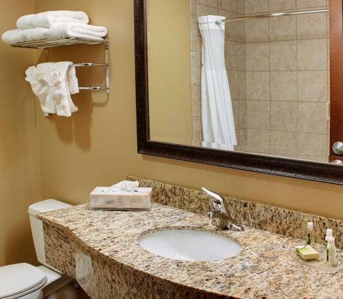 Imagen de la habitación del Hotel Stonecreek Lodge. Foto 15