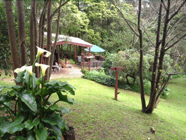 Imagen de los exteriores del Hotel Stones Throw Cottage Bed and Breakfast. Foto 14