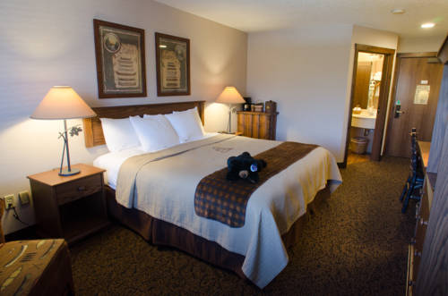 Imagen de la habitación del Hotel Stoney Creek Des Moines - Johnston. Foto 14